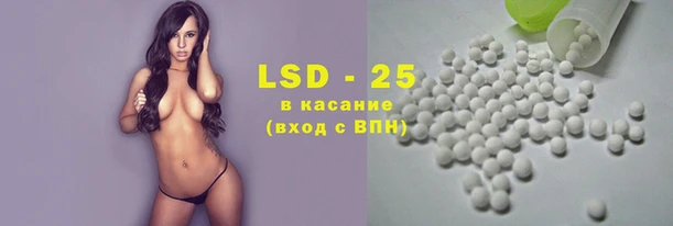 крисы Алзамай