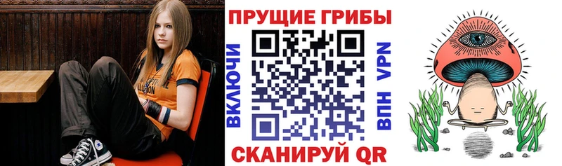 мега ссылка  купить наркотики цена  Дорогобуж  Псилоцибиновые грибы мицелий 