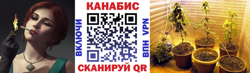 MEGA зеркало  как найти закладки  Дорогобуж  Конопля ГИДРОПОН 